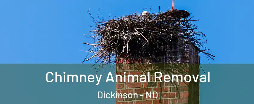 Chimney Animal Removal Dickinson - ND