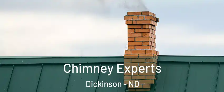 Chimney Experts Dickinson - ND
