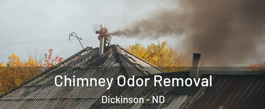  Chimney Odor Removal Dickinson - ND