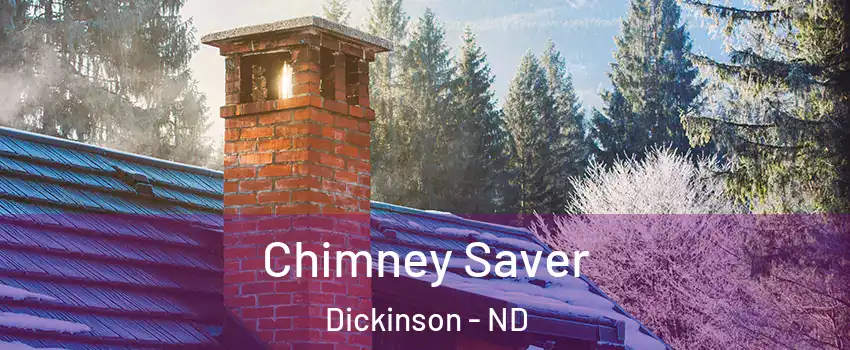  Chimney Saver Dickinson - ND